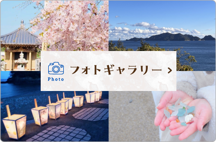 フォトギャラリー