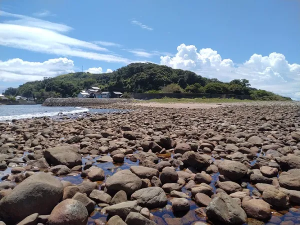 夏の出羽島洲鼻