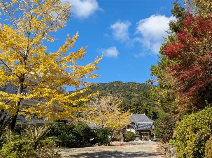 秋の正観寺