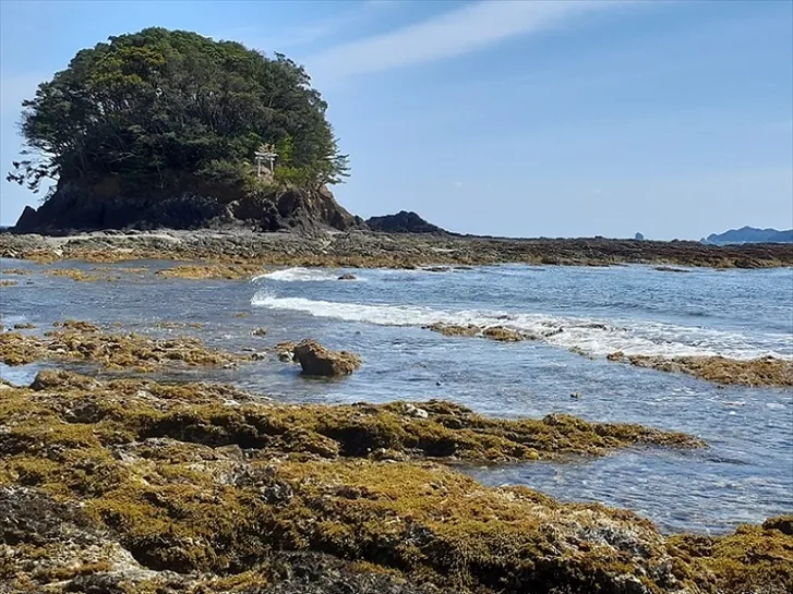 春の沖島神社⛩️