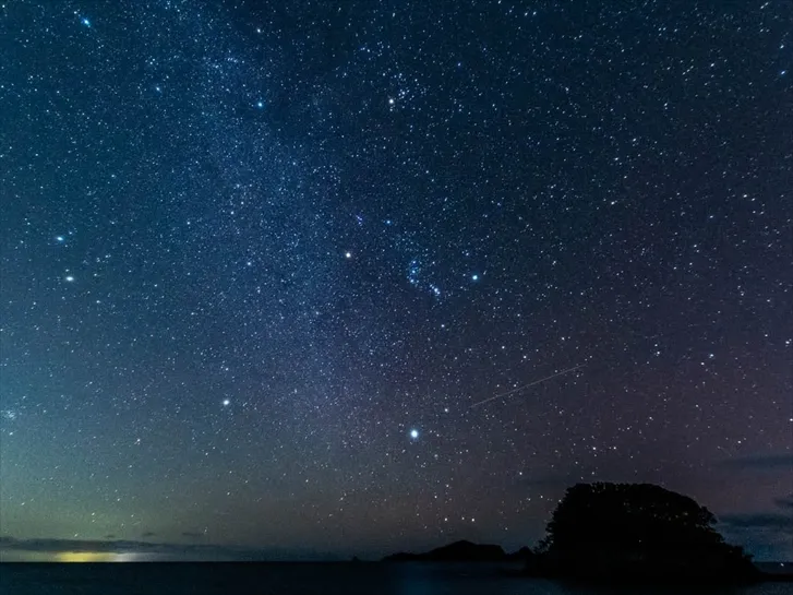 星降る夜に
