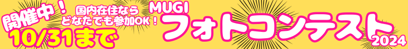 MUGIフォトコンテスト2024バナー