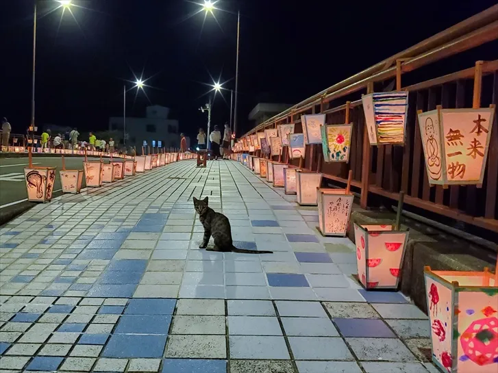 灯りともる道