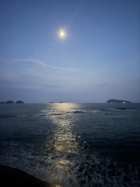 砂美の月