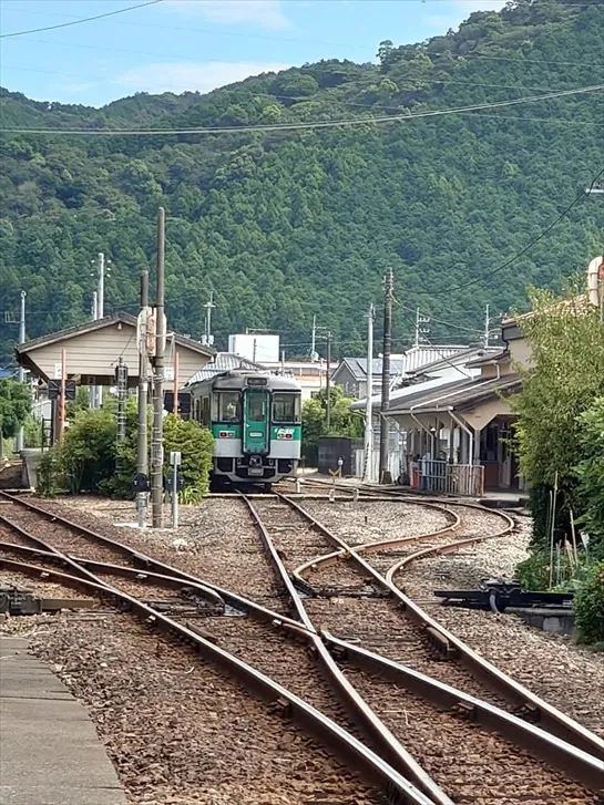 色褪せない青春切符