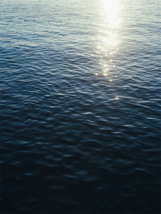 蒼海