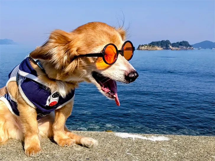 出羽島でバカンス