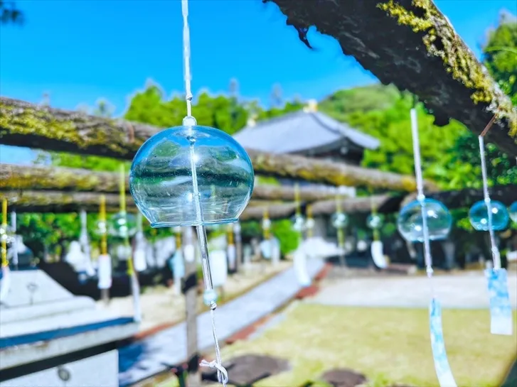 夏の音