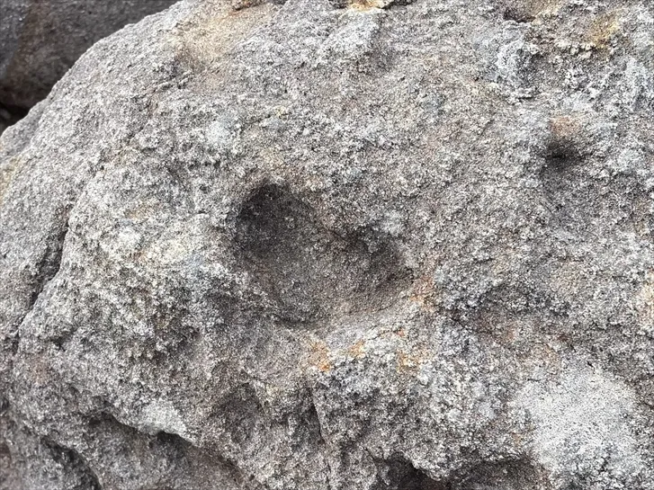 出羽島大池