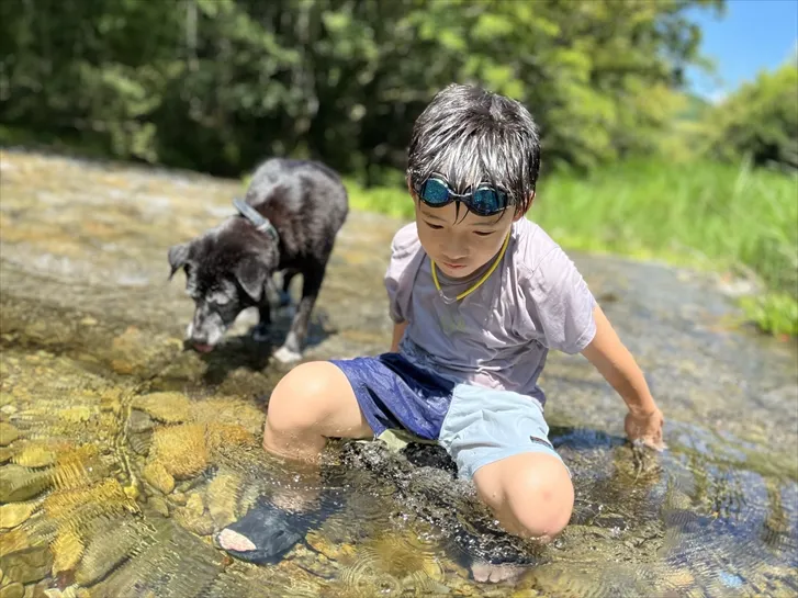 川辺で過ごす夏のひととき