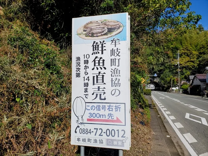 牟岐町漁協 牟岐町漁協