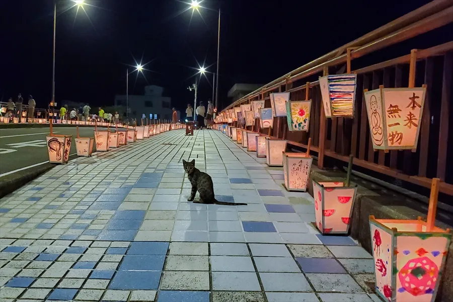 灯りともる道 灯りともる道