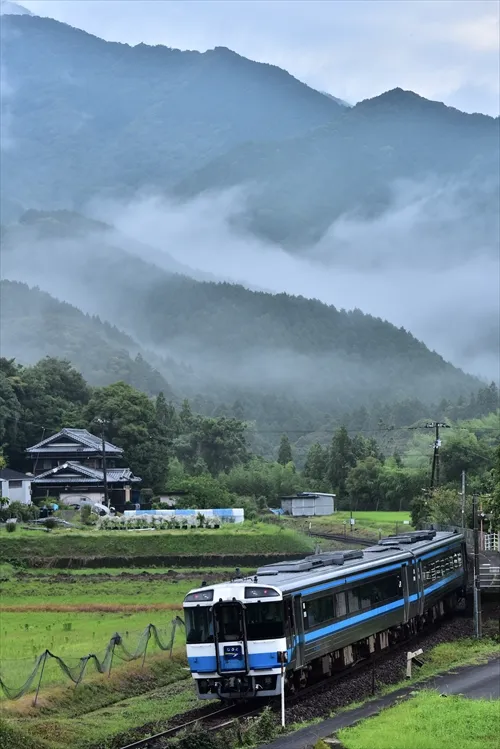 朝靄の山越えへ向かう 朝靄の山越えへ向かう