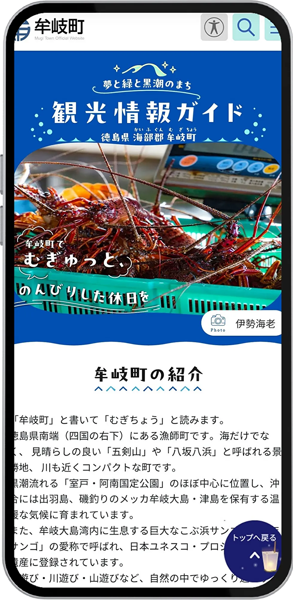 観光ページ 観光ページ