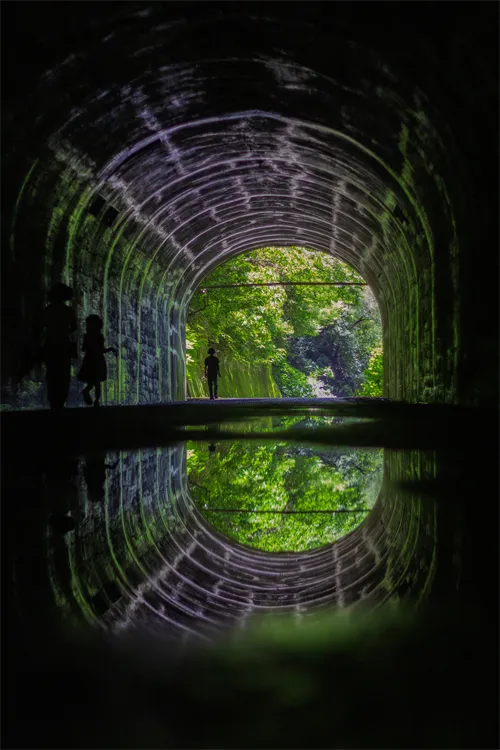 最古の道、光の先へ