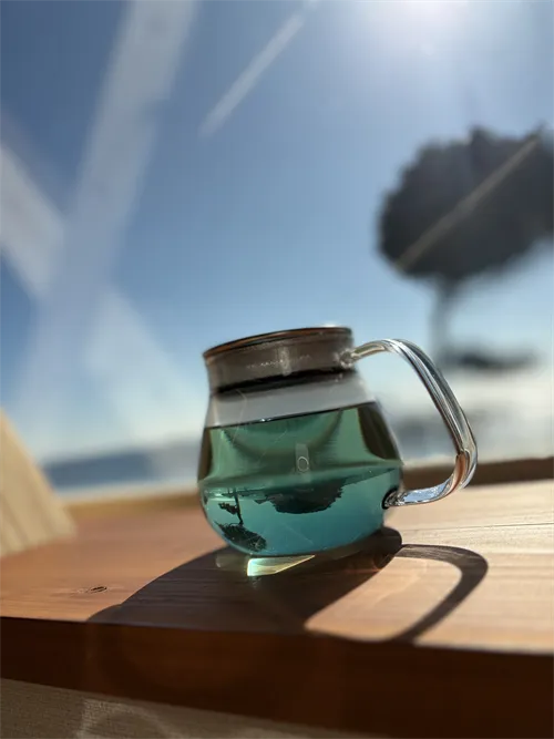 牟岐茶の中の小島