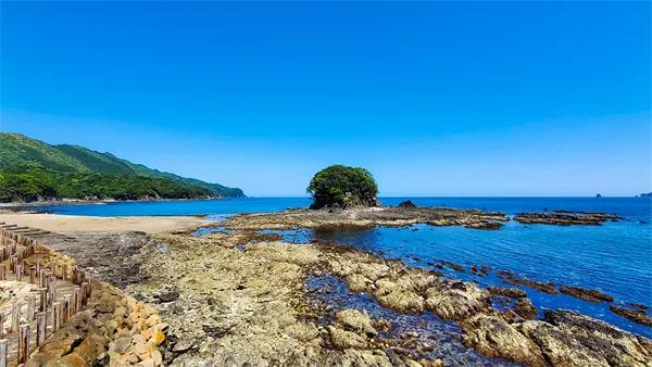 春の大潮は特別