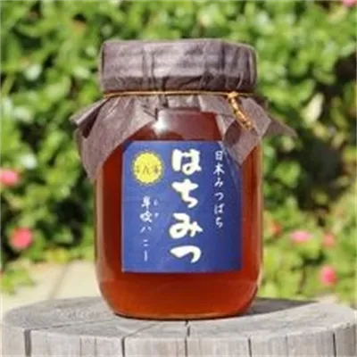 牟岐ハニー日本ミツバチの百花蜜