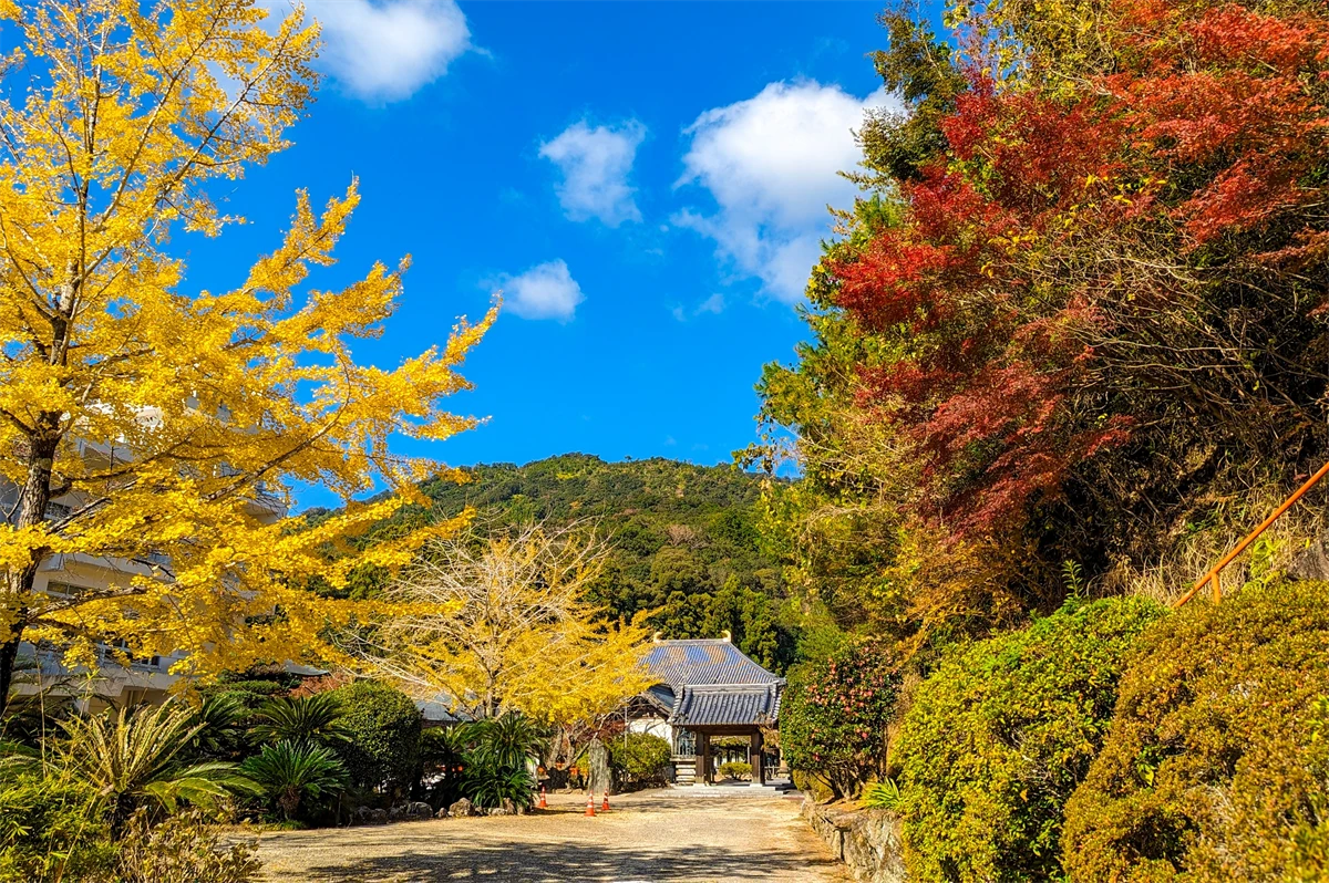 秋の正観寺