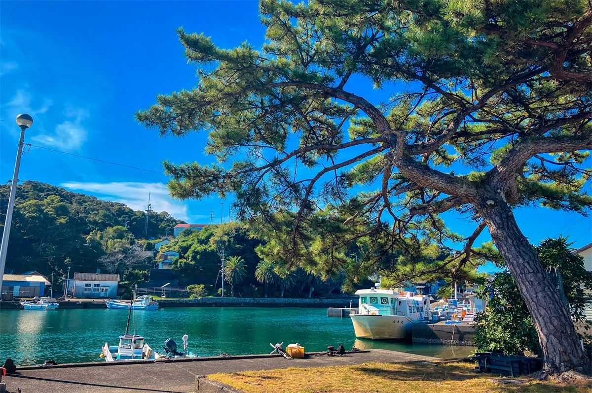 出羽島タイム