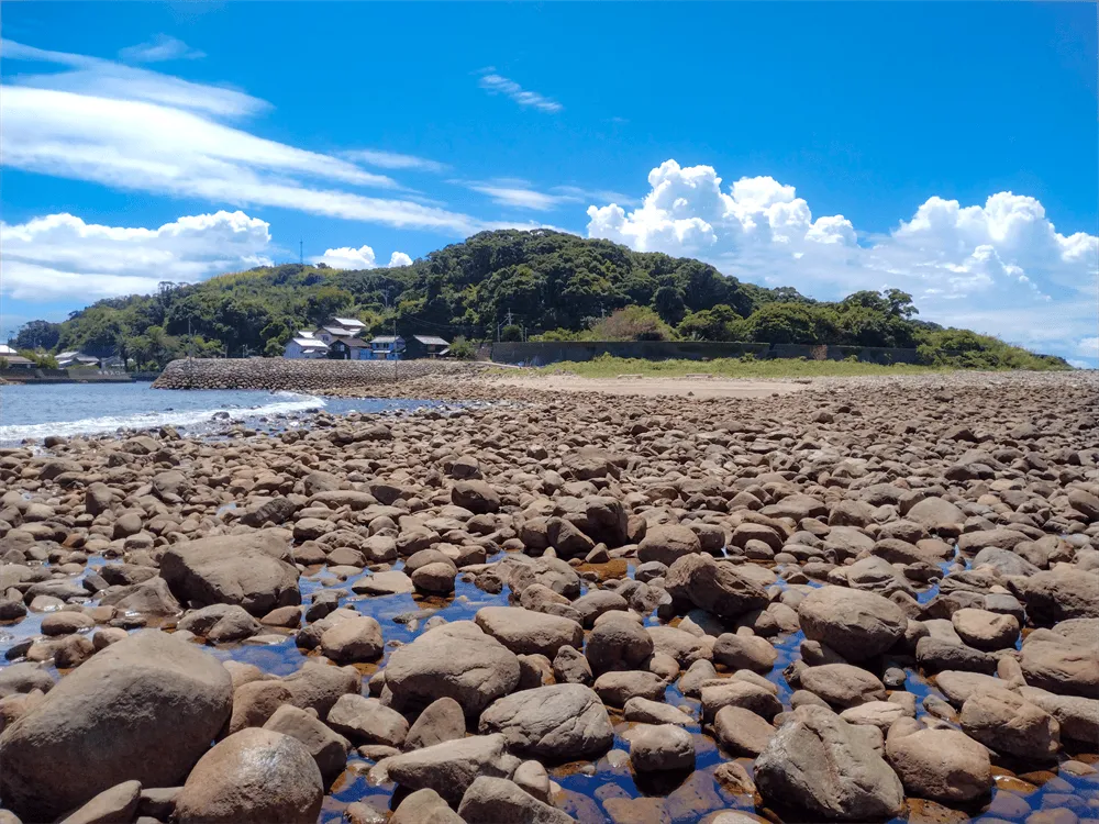 夏の出羽島洲鼻