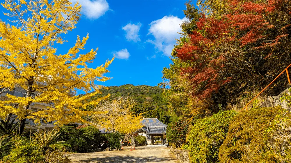 秋の正観寺