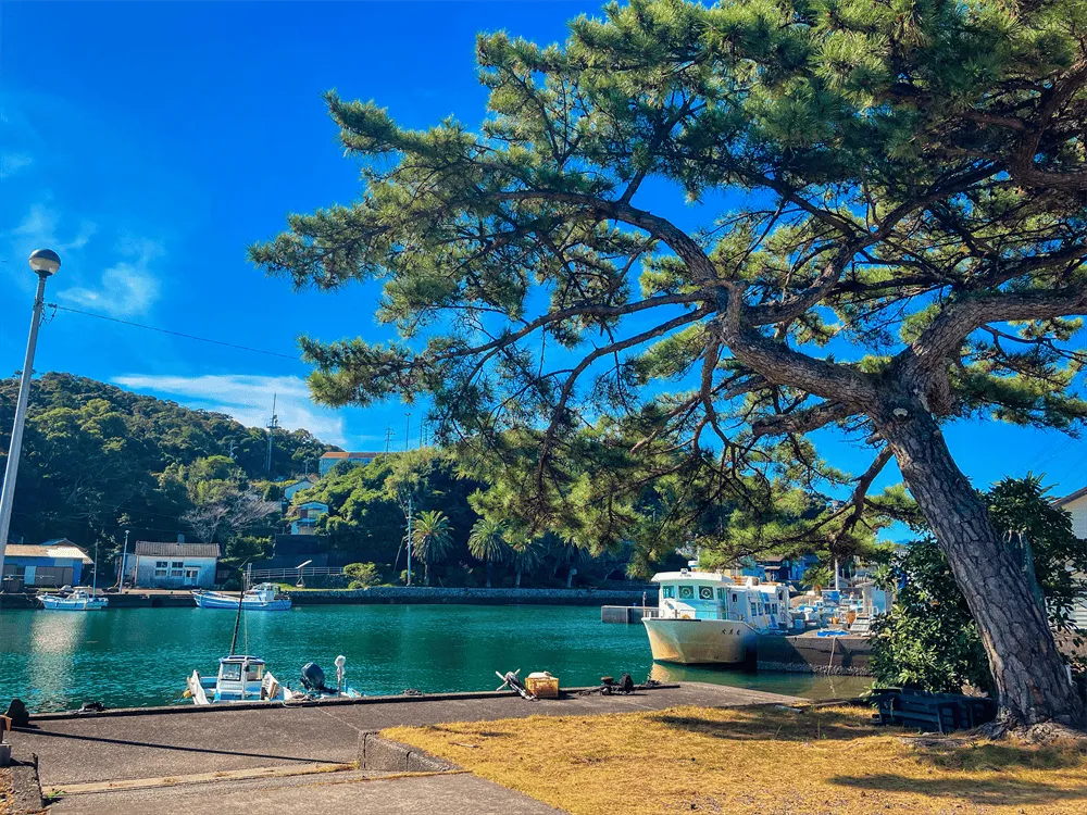 出羽島タイム 