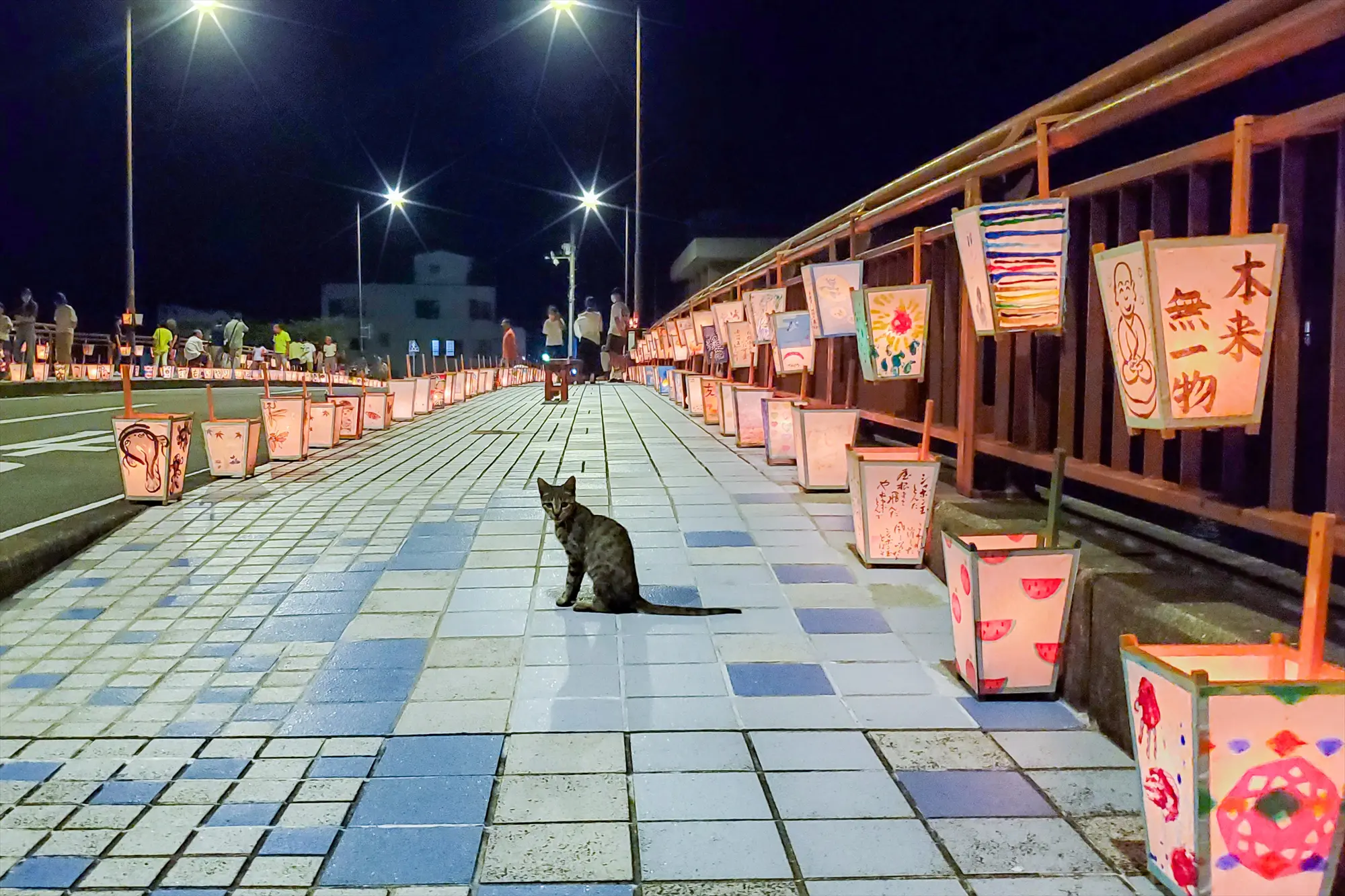 灯りともる道