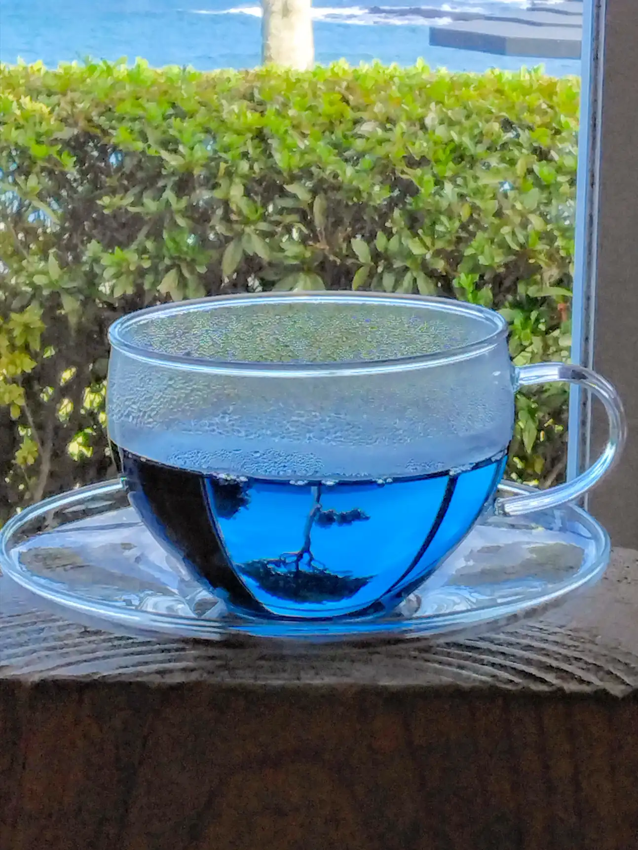 牟岐茶
