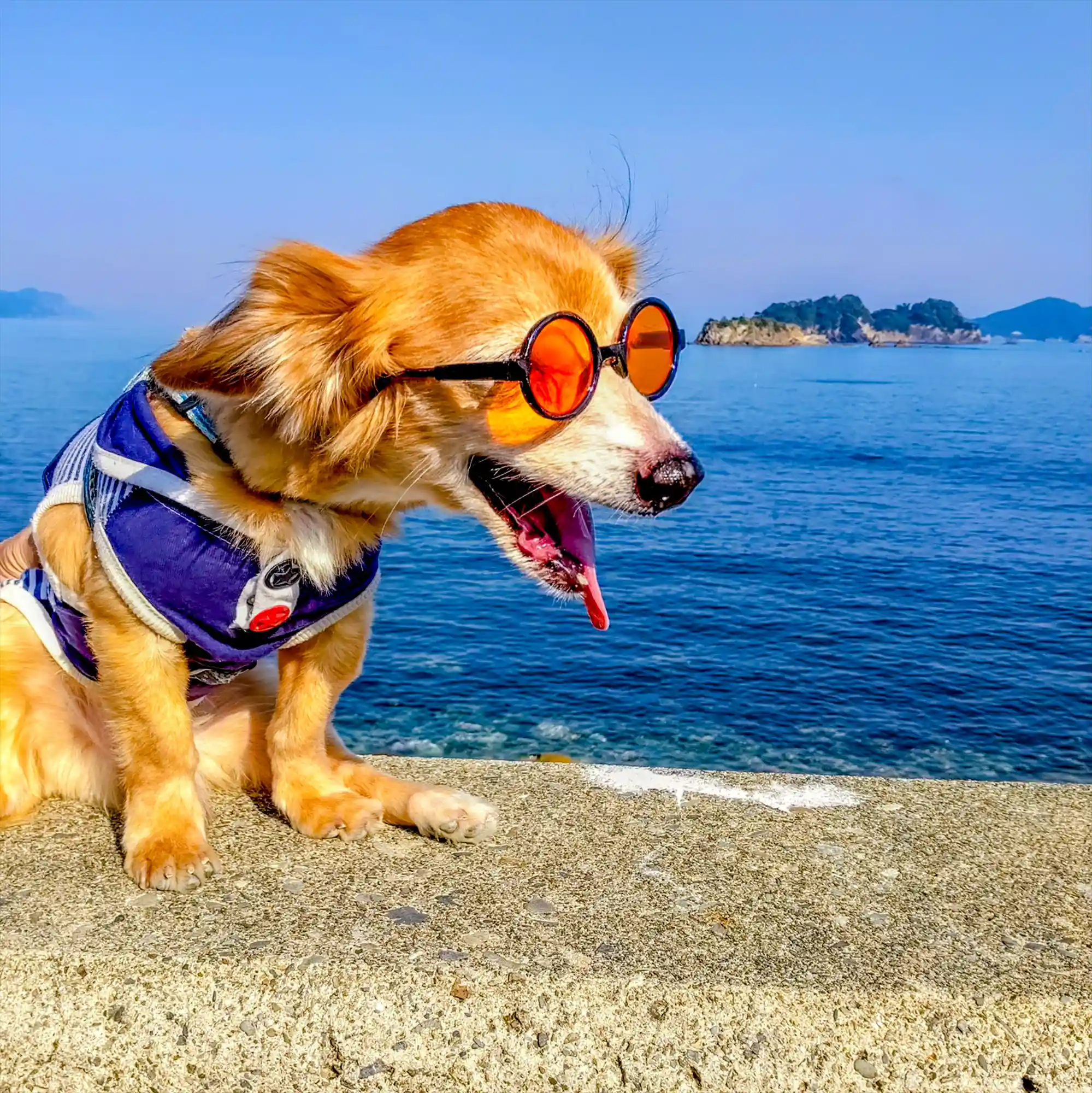 出羽島でバカンス