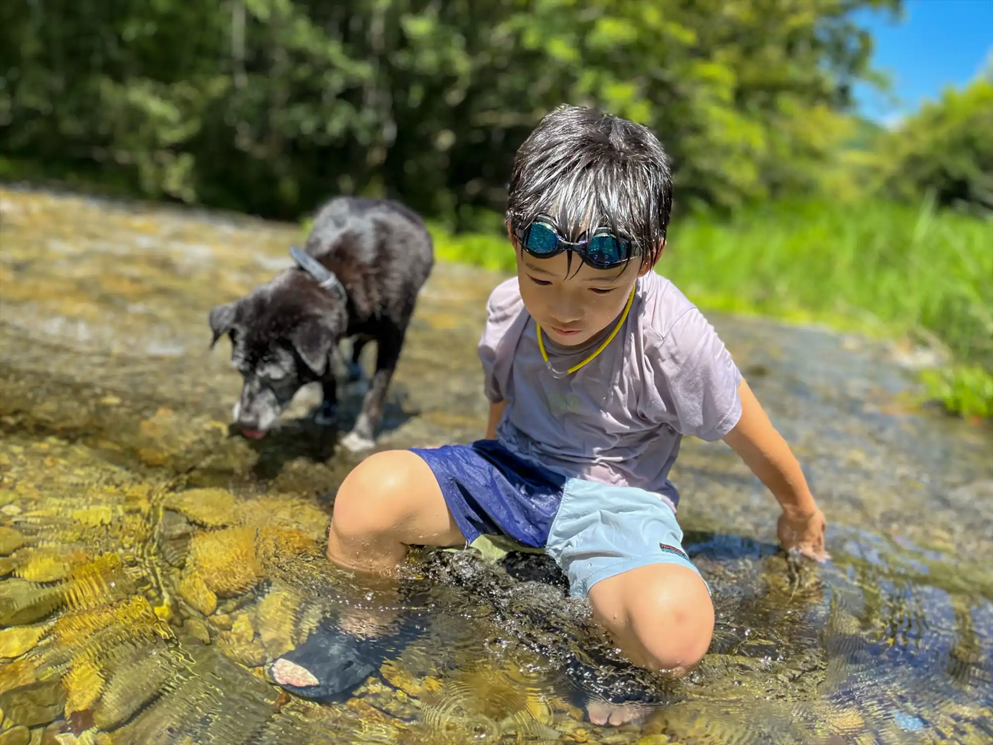 川辺で過ごす夏のひととき