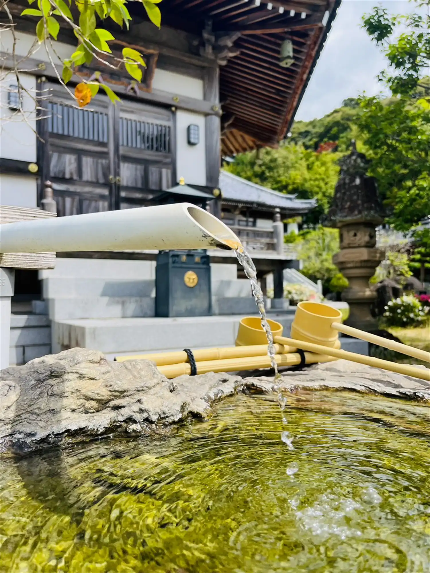 夏が奏でるハーモニー
