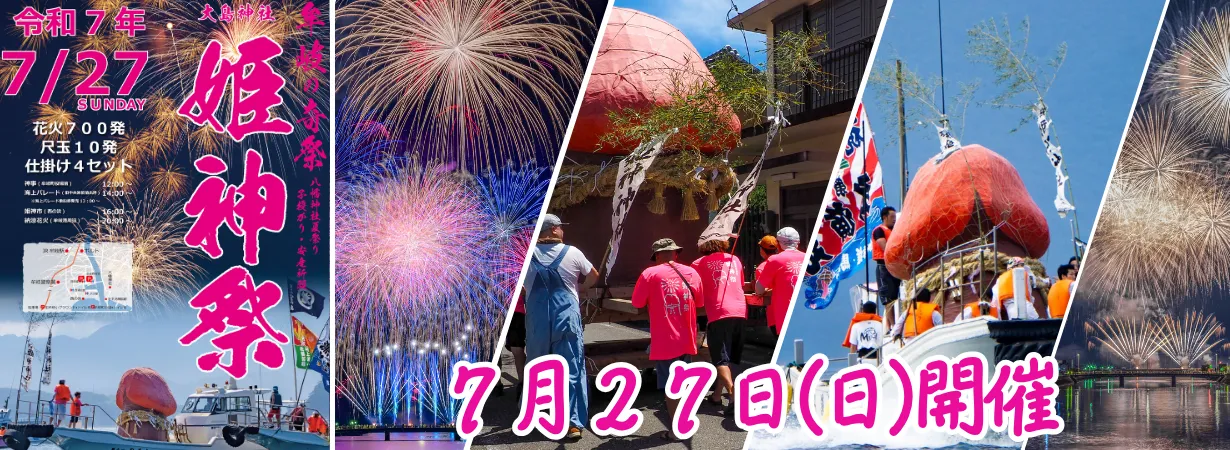 牟岐の奇祭「姫神祭り」