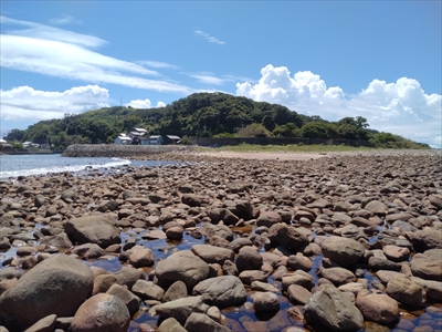 夏の出羽島洲鼻
