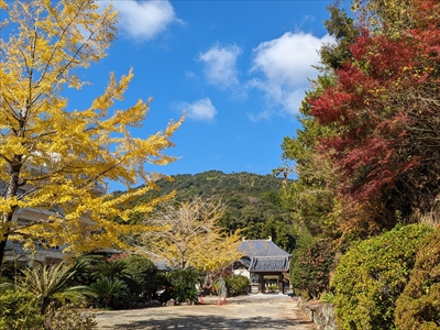 秋の正観寺