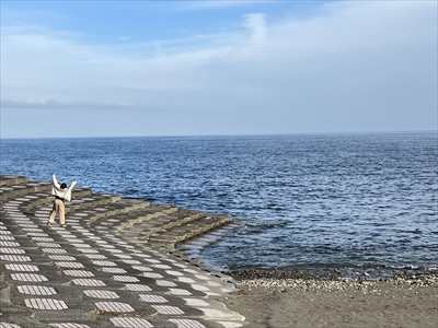 海の雄大さ