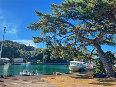 出羽島タイム