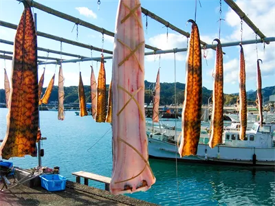 ボクたちの故郷の冬陽