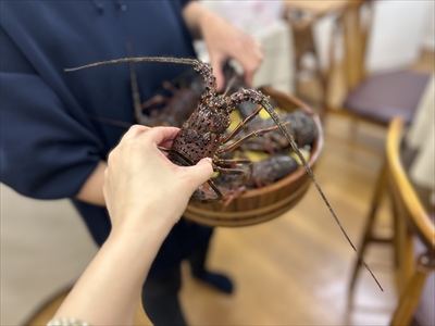 活き活き伊勢海老