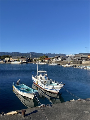 出羽島に惹きつけられて