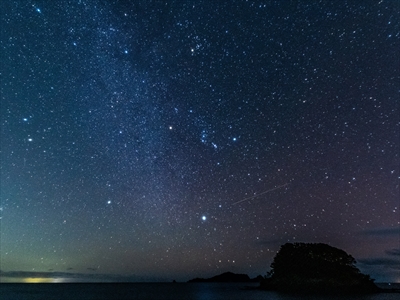 星降る夜に