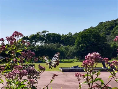 旅する蝶々in自然の家