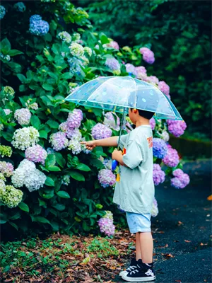 この色がすきっ！