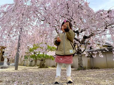 花よりキャンディー