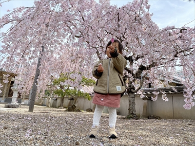 花よりキャンディー