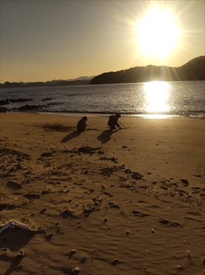 内妻海岸で遊ぶ子供