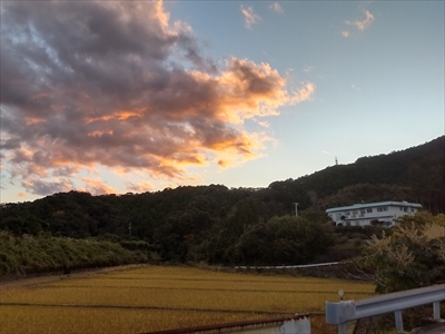 内妻の空