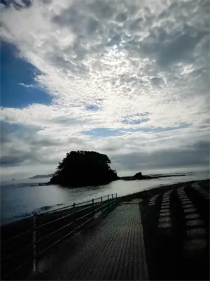 オーマイガーの写真