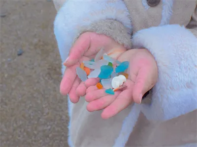 海で見つけたたからもの