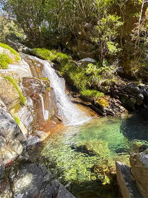 水面のきらめき